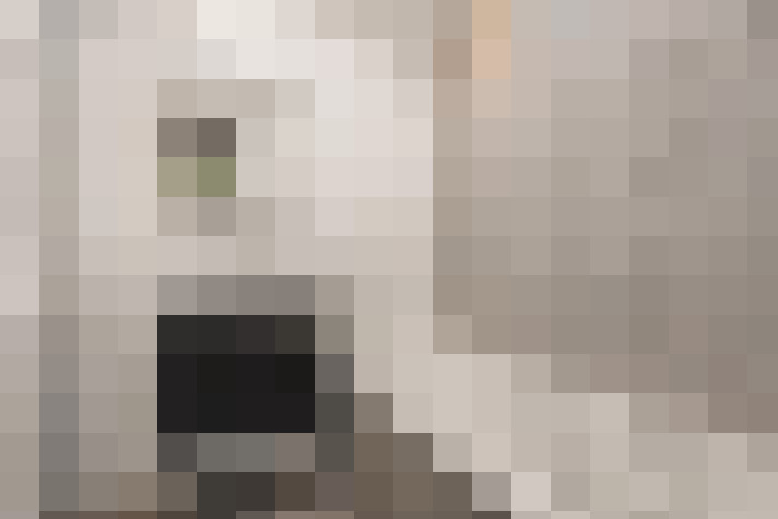 Image 29