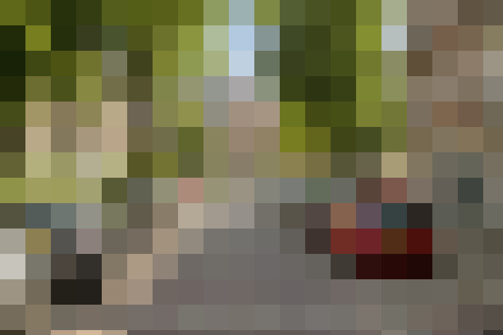 Image 46
