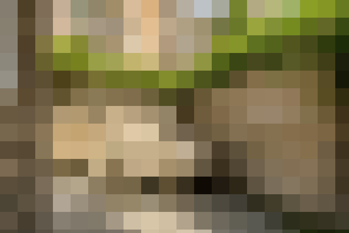 Image 36