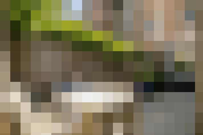 Image 38