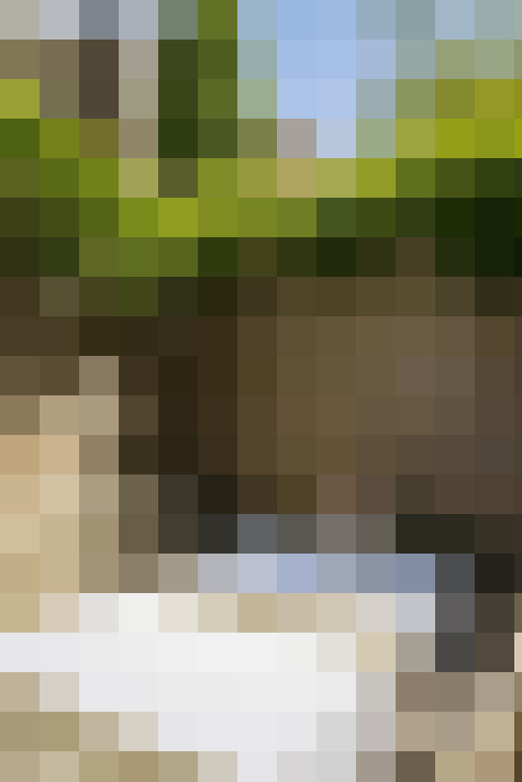 Image 39