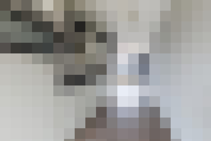 Image 17