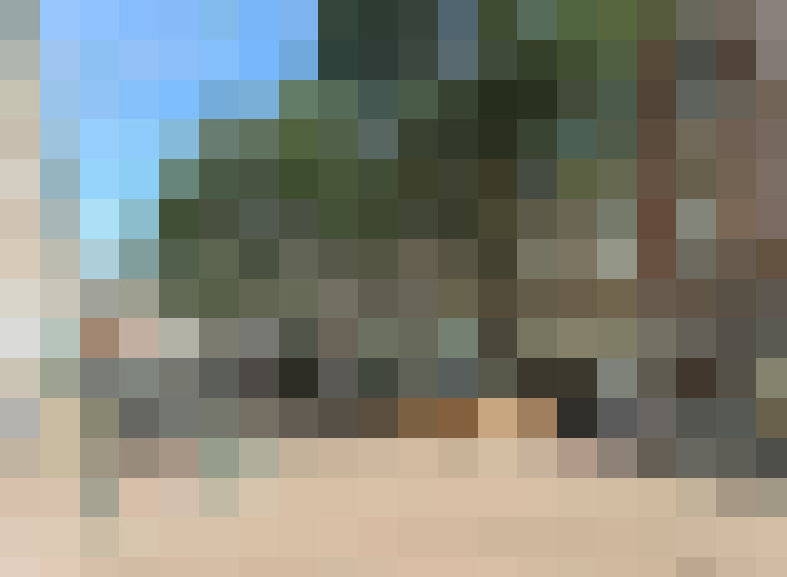 Image 37