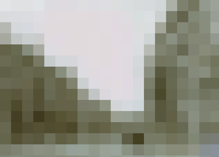 Image 39