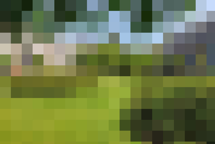 Image 36