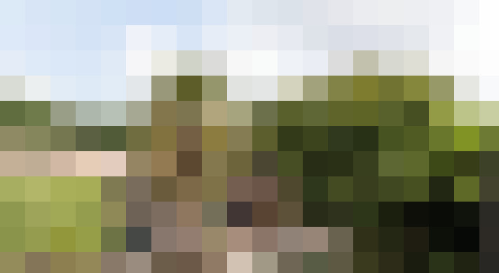 Image 31
