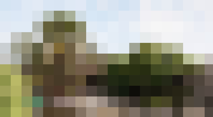 Image 30