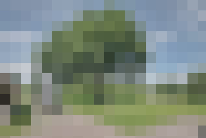 Image 14