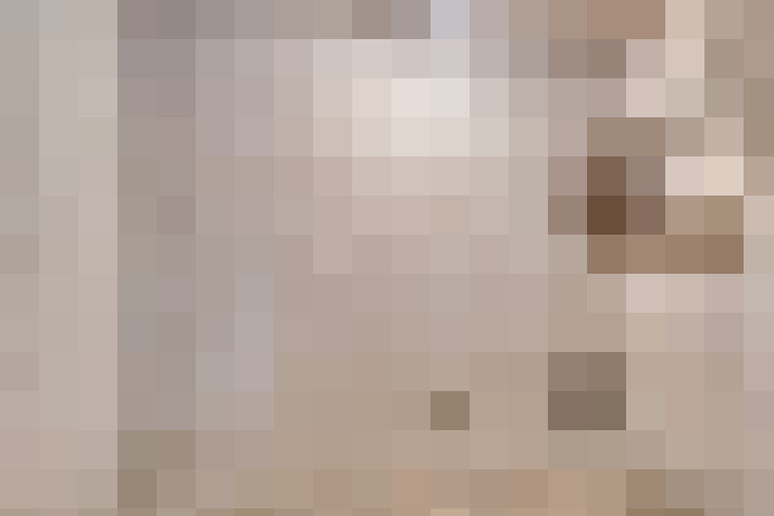  / #22
