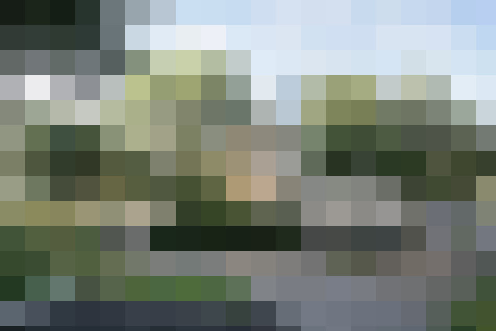 Image 17