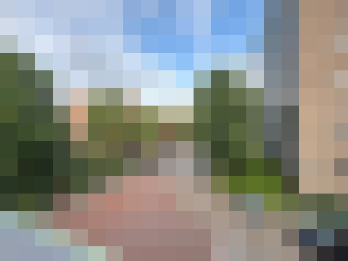 Image 15