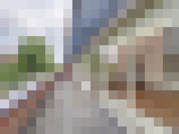 Image 14