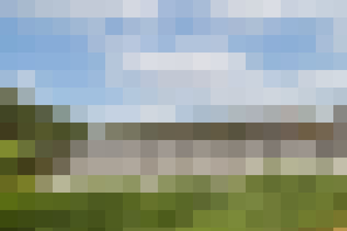 Image 33