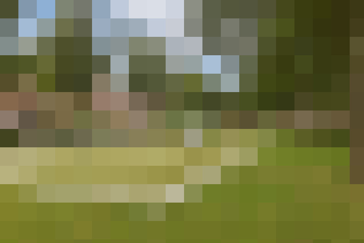 Image 34