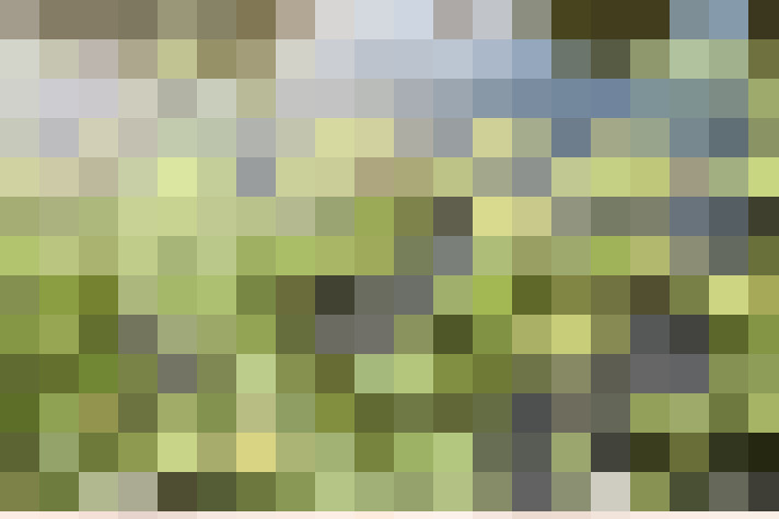Image 30