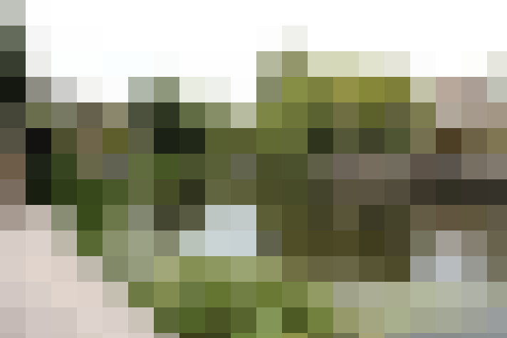Image 31