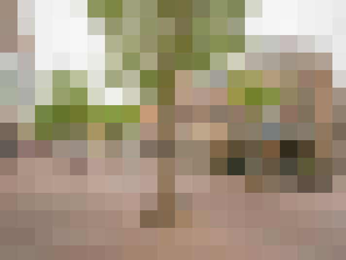 Image 14