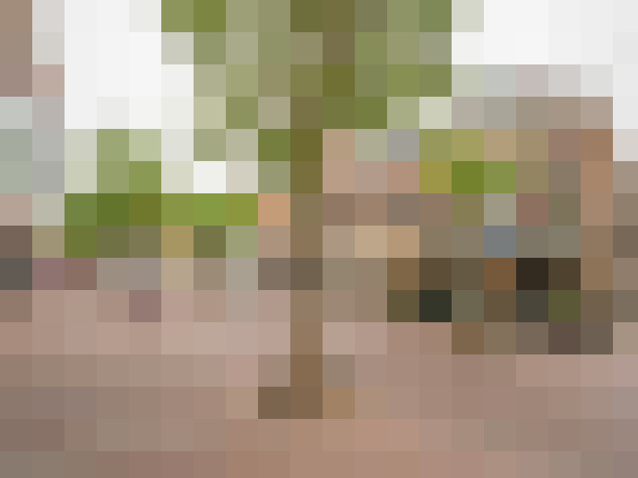 Image 14