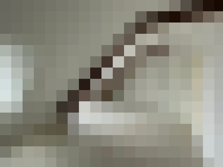Image 20