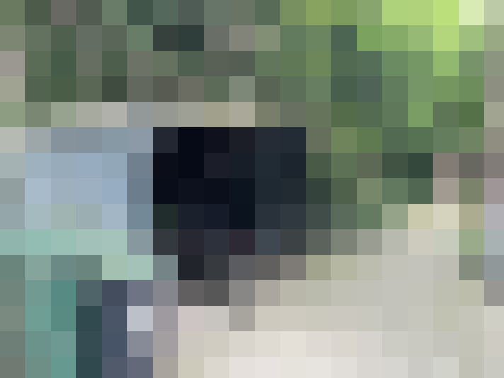 Image 20