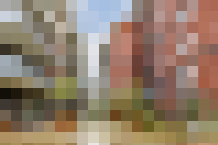 Image 21