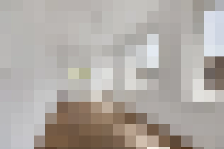Image 20