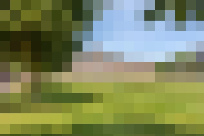 Image 25