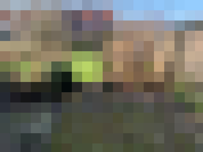 Image 20