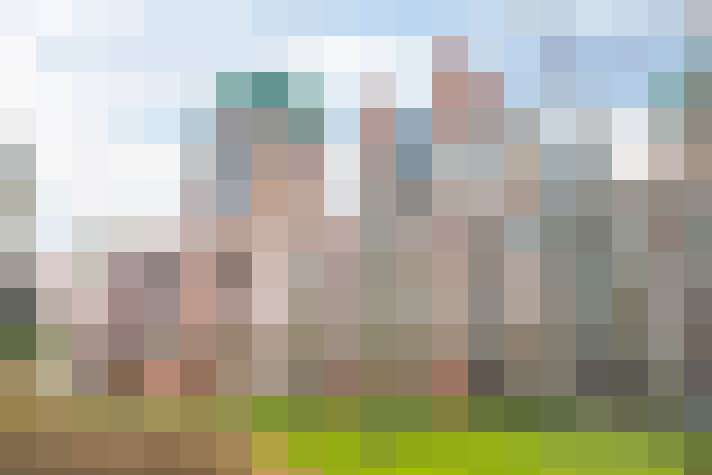 Image 21