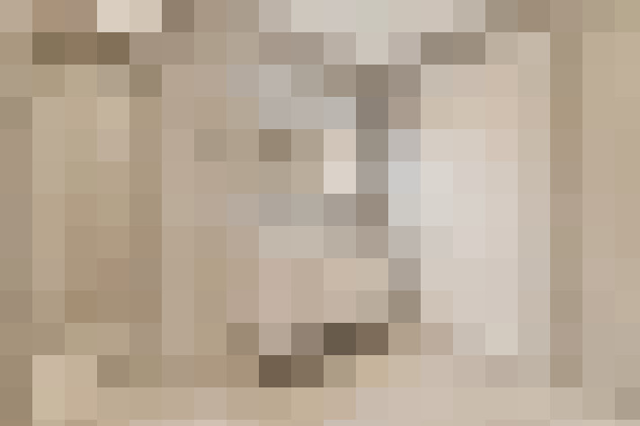 Image 41
