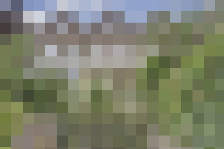 Image 42