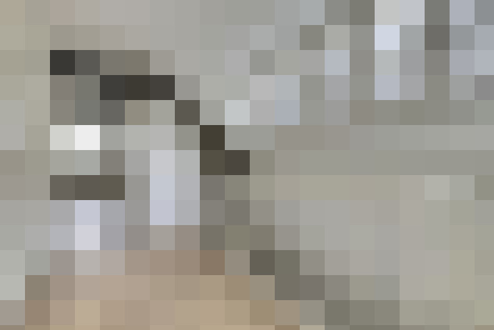 Image 33