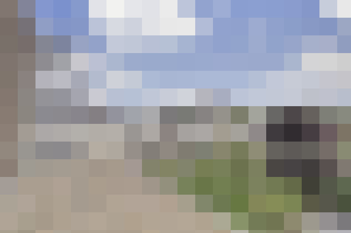 Image 17