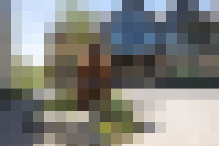 Image 42
