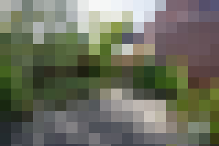 Image 63