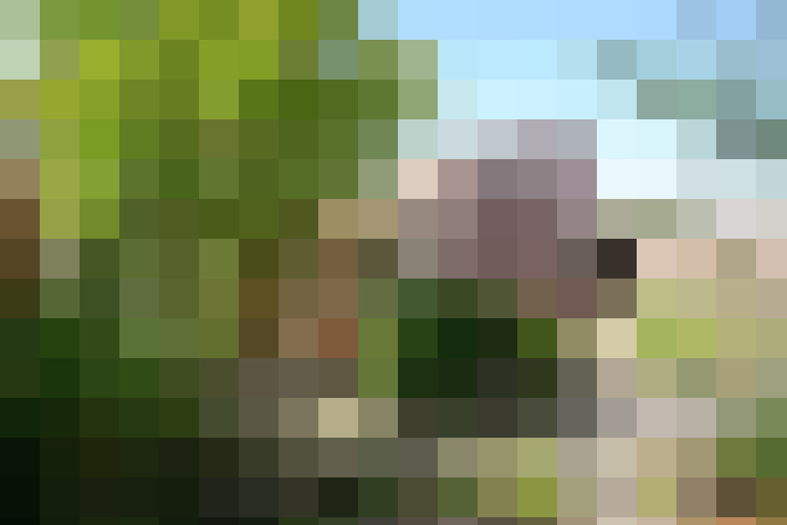 Image 65