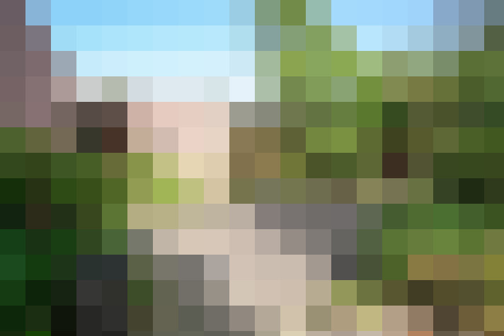 Image 70