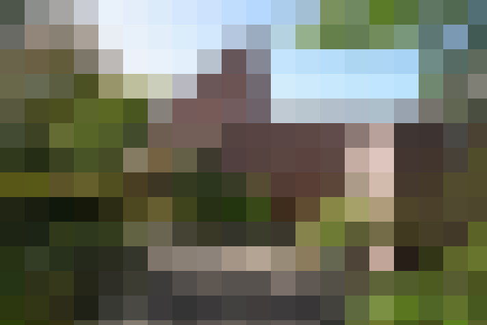 Image 67