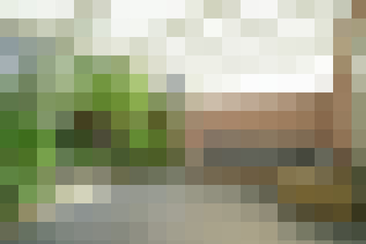 Image 58