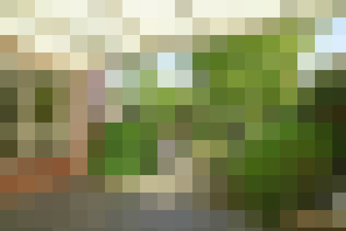 Image 62