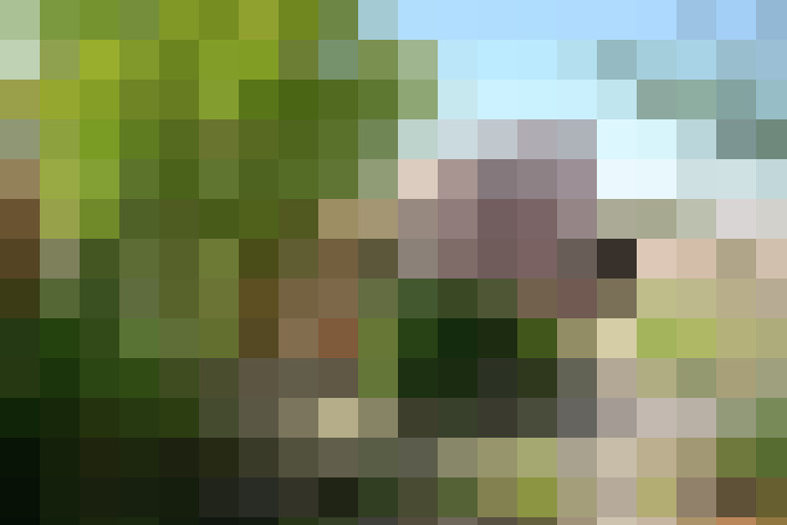 Image 66