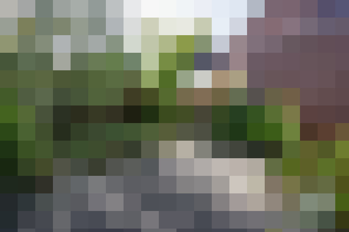 Image 64