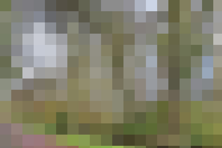 Image 29