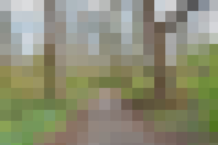Image 28