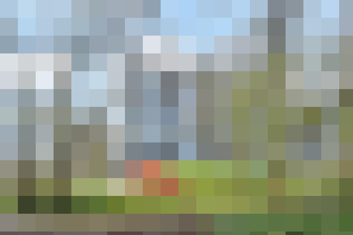 Image 31