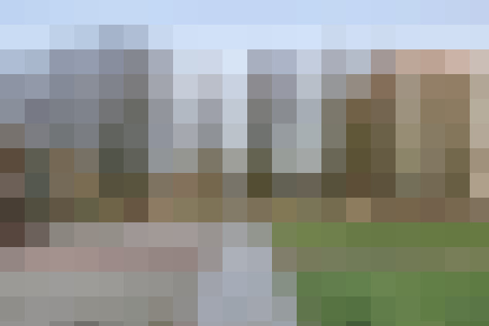 Image 25