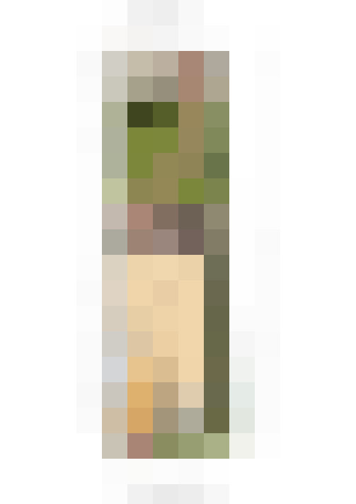 Image 44