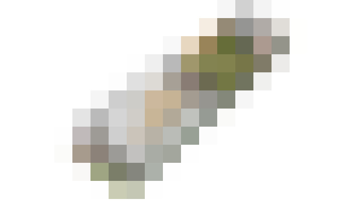 Image 45