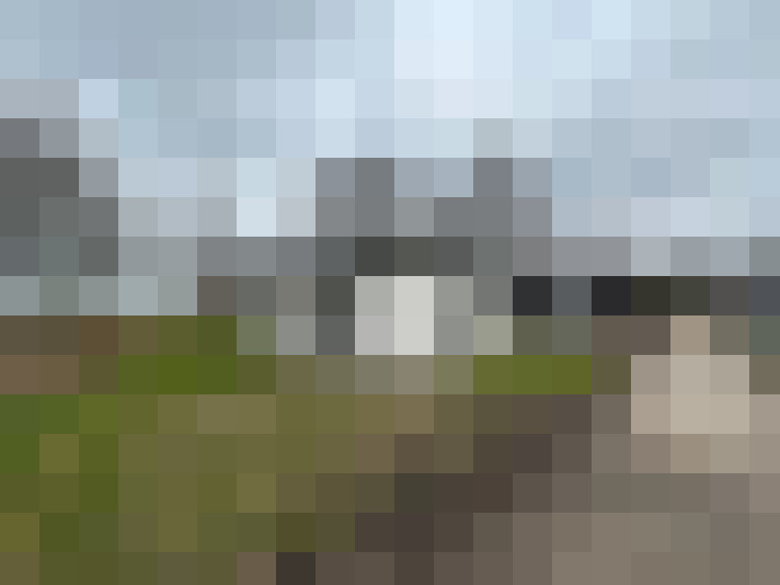 Image 13