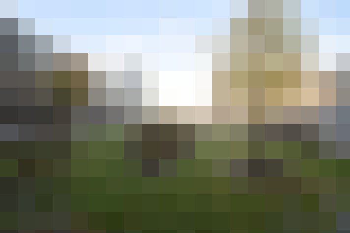 Image 23